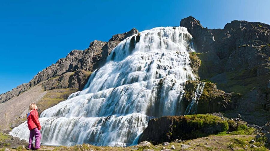From Isafjordur: Private Dynjandi Waterfall & Farm Tour - The Price and Who It’s For