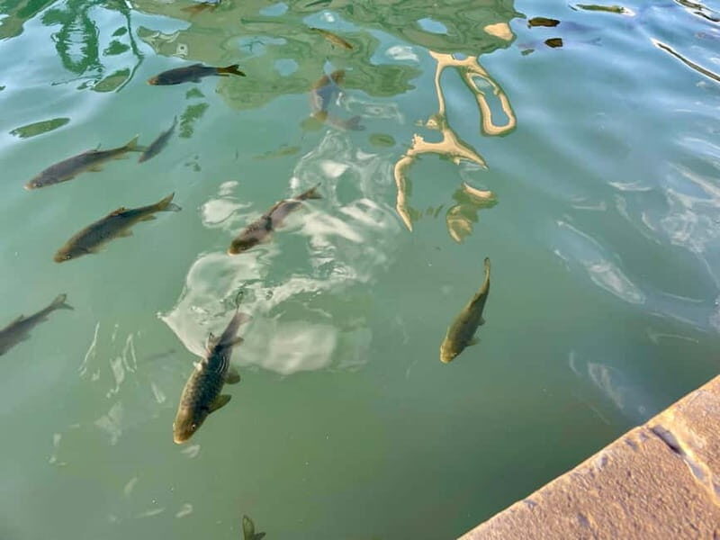 from Istanbul: anlurfa, Göbeklitepe & Balklgöl Day Trip - Practical Considerations and What It Means for Travelers