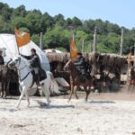 From Istanbul: Bozdag Film Plateau Day Trip with Lunch - An In-Depth Look at the Bozdağ Film Plateau Day Trip