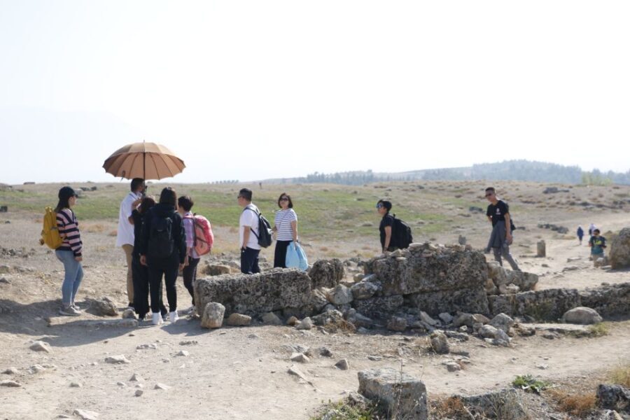 From Istanbul: Ephesus and Pamukkale 2-Day Trip - What’s Included and What to Consider