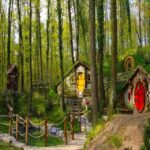 From Istanbul: Full Day Private Sapanca & Masukiye Tour - The Cable Car and Lake Views: A Must-See Highlight