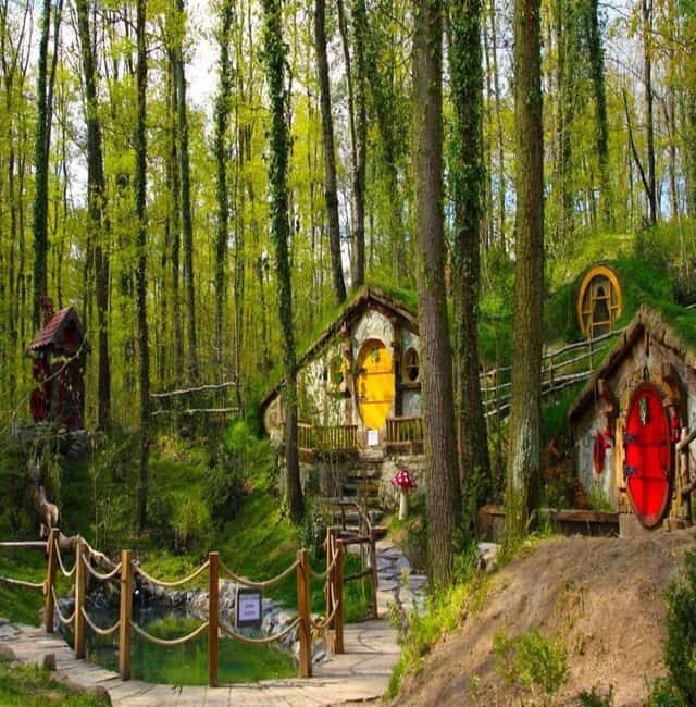 From Istanbul: Full Day Private Sapanca & Masukiye Tour - The Cable Car and Lake Views: A Must-See Highlight