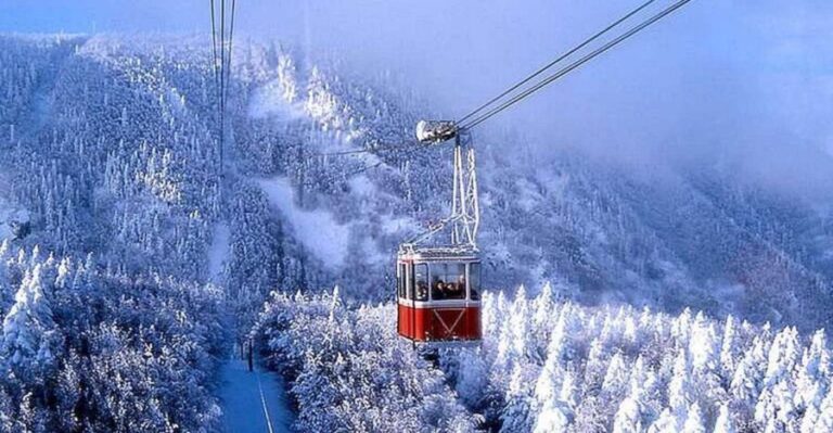 From Istanbul: Full-Day Tour to Bursa - What We Like and What to Watch Out For