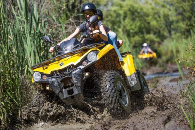 From Istanbul: Guided Day Trip to Sapanca and Masukiye - What We Love About the Tour