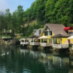 From Istanbul: Sapanca and Masukiye Day Trip with Lunch - Transportation and Group Experience