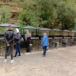 From Izmir çeme: Ephesus and House of Mary Private Tour - FAQ