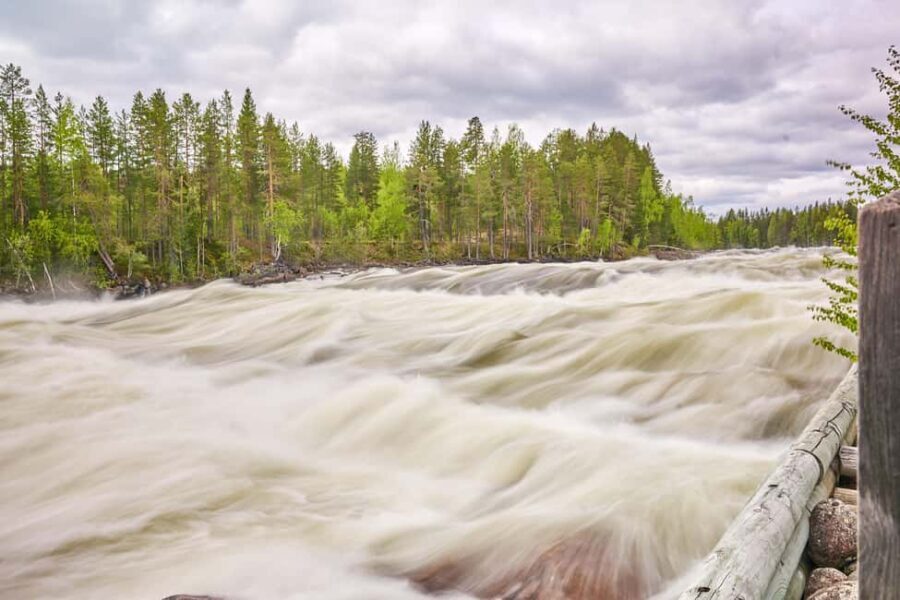 From Jokkmokk: The Great Rapids National Park - The Experience: What You Can Expect