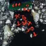 From Kemi: Icebreaker Cruise with Lunch and Ice Floating - What Do Travelers Say?