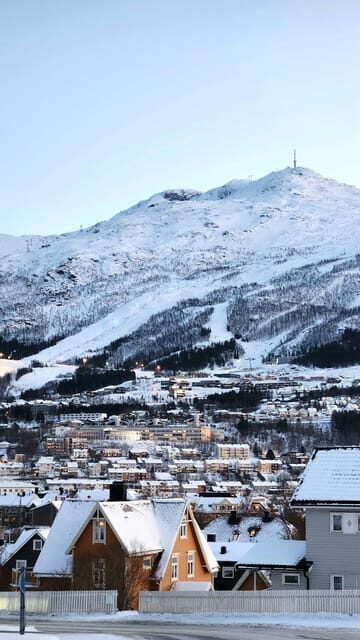 From Kiruna: Narvik City and Fjord Day Trip - The Itinerary: What to Expect