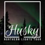 From Kiruna: Northern Lights Guided Husky Sledding Adventure - The Details That Matter
