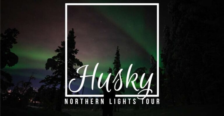 From Kiruna: Northern Lights Guided Husky Sledding Adventure - The Details That Matter