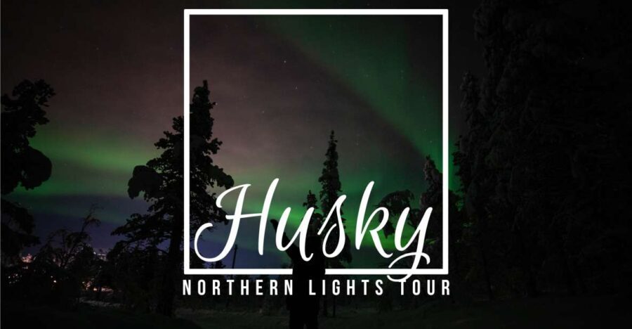 From Kiruna: Northern Lights Guided Husky Sledding Adventure - The Details That Matter