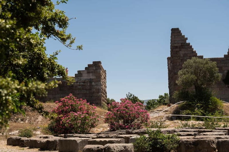 From Kos: A day ride to Bodrum with comfortable transfer - A Closer Look at the Experience