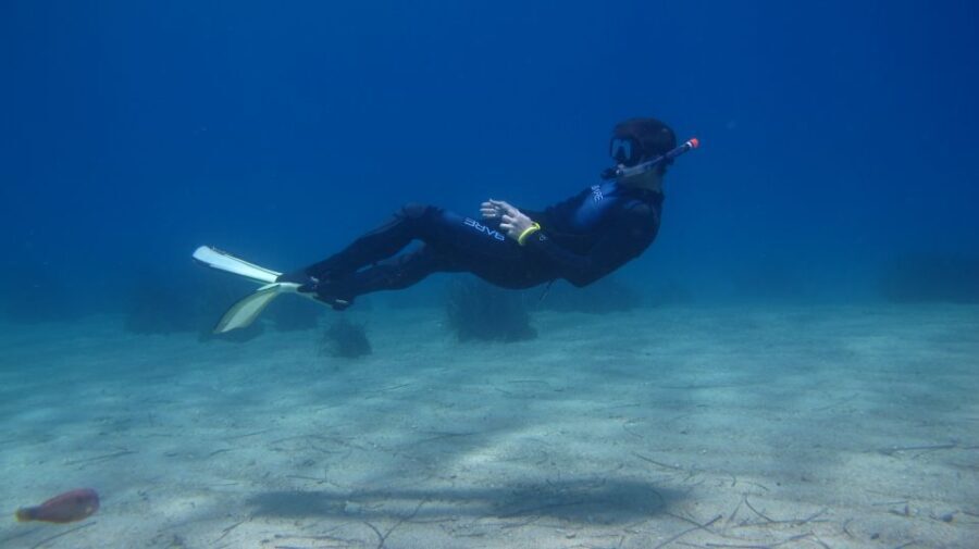 From Kos: Pserimos Island Snorkeling Cruise by Diving Boat - The Experience: What to Expect from the Snorkeling Cruise