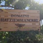 From Kos: Tour of 2 Wineries with Wine Tasting & Small Bites - Practical Details and Considerations