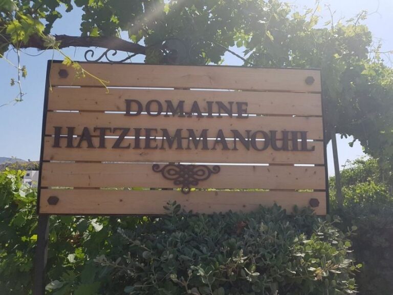 From Kos: Tour of 2 Wineries with Wine Tasting & Small Bites - Practical Details and Considerations