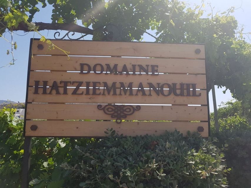 From Kos: Tour of 2 Wineries with Wine Tasting & Small Bites - Practical Details and Considerations