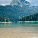 From Kotor: Durmitor National Park and Tara Bridge Day Trip - What to Expect: Practicalities and Highlights