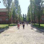 From Krakow: Auschwitz-Birkenau and Self-Guided Day Tour - Frequently Asked Questions