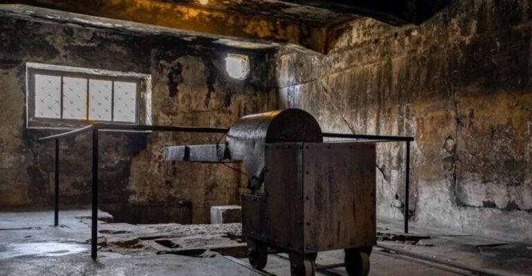 From Krakow: Auschwitz-Birkenau Full-Day Tour - The Value of This Tour