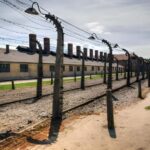 From Krakow: Auschwitz-Birkenau FullDay Guided Tour - What’s Included and What You Should Know