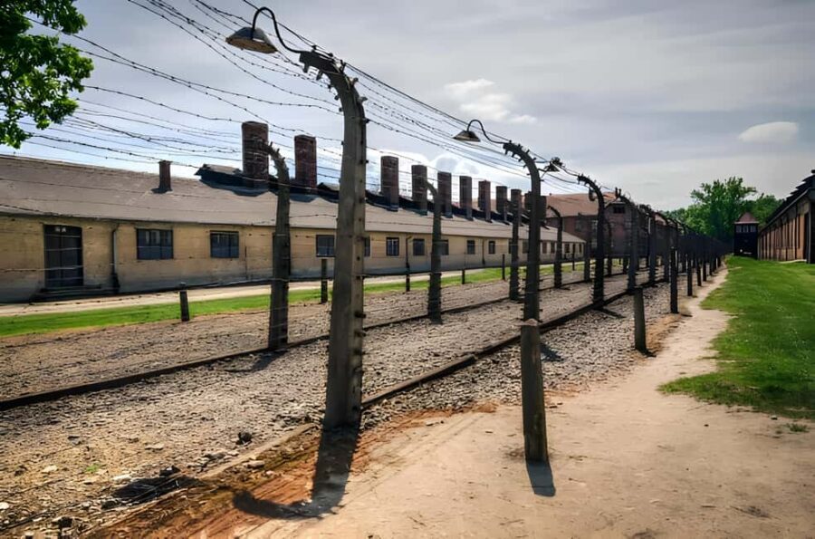 From Krakow: Auschwitz-Birkenau Full-Day Guided Tour - What’s Included and What You Should Know