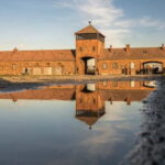 From Krakow: Auschwitz-Birkenau Guided Tour & Pickup - Why This Tour Works