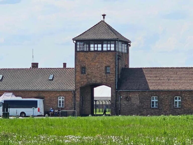 From Krakow: Auschwitz-Birkenau Guided Tour with Pickup - Who Is This Tour Best For?