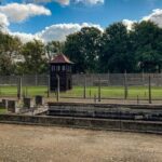 From Krakow: Auschwitz-Birkenau Memorial and Museum Tour - The Experience: What We Heard from Other Travelers