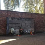 From Krakow: Auschwitz-Birkenau Memorial and Museum Tour - What the Reviews Say