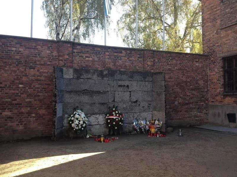 From Krakow: Auschwitz-Birkenau Memorial and Museum Tour - What the Reviews Say