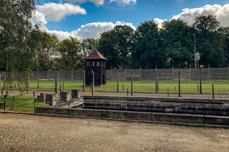 From Krakow: Auschwitz-Birkenau Memorial and Museum Tour - The Experience: What We Heard from Other Travelers