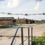 From Kraków: Auschwitz-Birkenau Memorial Guided Tour - Value and Cost Considerations