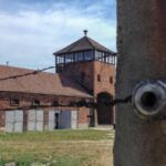 From Krakow: Auschwitz-Birkenau Private or Shared Tour - Who Is This Tour Best For?