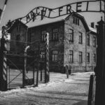 From Krakow: Auschwitz Birkenau Self-Guided Tour - Transportation and Logistics: What You Should Know