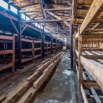 From Krakow: Auschwitz-Birkenau Tour with Transfer - Transportation and Logistics