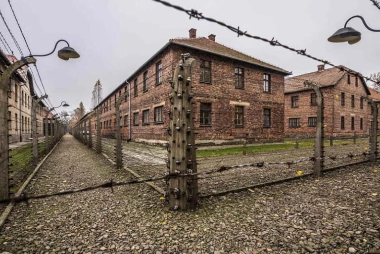 From Krakow: Auschwitz-Birkenau Tour with Transfer - What’s the Experience Like?