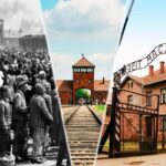 From Krakow: Auschwitz-Birkenau Tour with Transportation - The Real Experience: Reviews and Insights