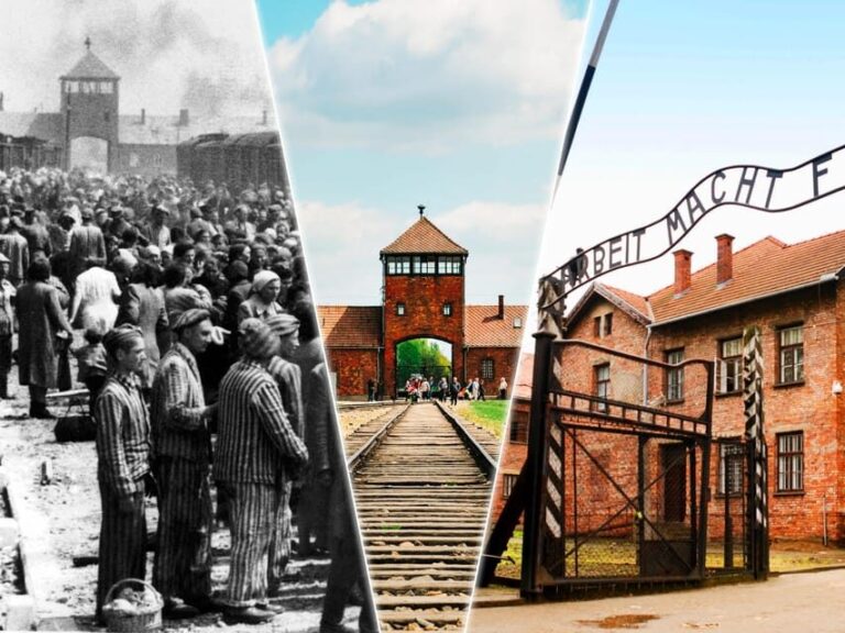 From Krakow: Auschwitz-Birkenau Tour with Transportation - The Real Experience: Reviews and Insights