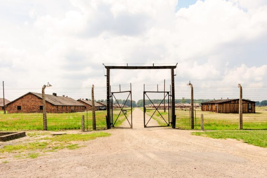 From Krakow: Auschwitz-Birkenau Tour with Transportation - A Deep Dive into the Auschwitz-Birkenau Guided Tour