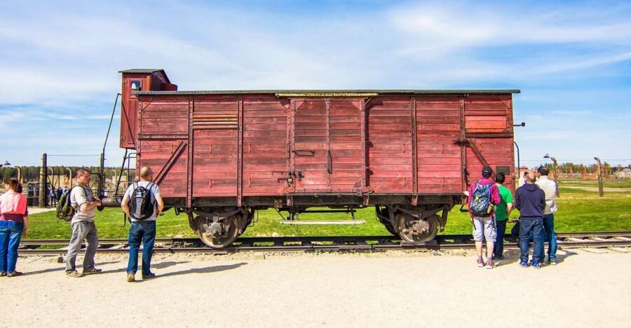 From Krakow: Auschwitz-Birkenau Tour with Transportation - Who Will Love This Tour?