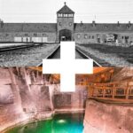 From Krakow: Auschwitz & Wieliczka Salt Mine Guided Tour - What We Love About This Tour
