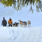 From Krakow: Dogsled Ride in Tatra Mountain - The Dogsled Ride Itself
