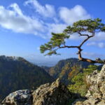 From Krakow: Full-Day Dunajec River Rafting Tour - Final Thoughts