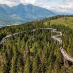 From Krakow: Morskie Oko and Slovakia Treetop Walk - The Journey to Slovakia’s Treetop Walk