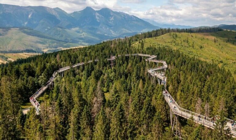 From Krakow: Morskie Oko and Slovakia Treetop Walk - The Journey to Slovakia’s Treetop Walk