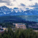 From Kraków: Mountain Treetop Walk & Zakopane Day Trip - The Treetop Walk – What to Expect