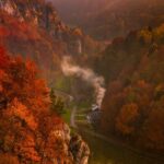 From Kraków: Ojców National Park and Pieskowa Skaa Castle - What’s the Real Value for Travelers?