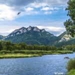 From Krakow: Rafting on Dunajec River Full-Day Trip - The Experience and the Guides