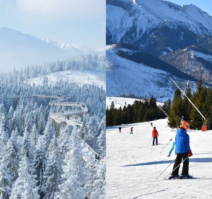 From Kraków: Slovakia Treetop Walk & 4-Hour Ski Pass - Practical Tips for Your Day